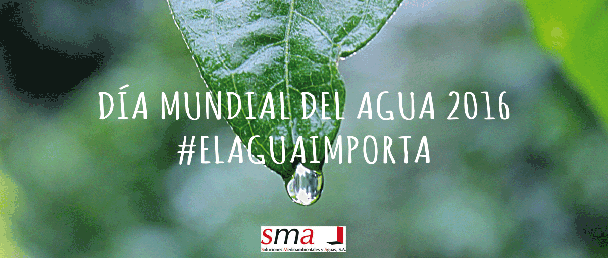 #ElAguaImporta